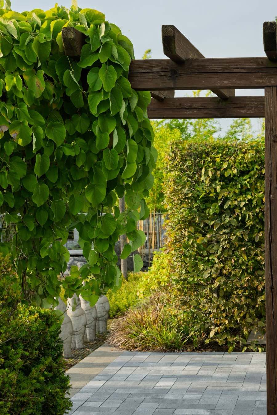 Zithoek met houten pergola en beplanting eromheen